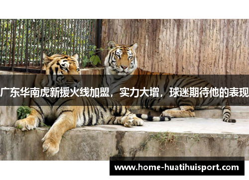广东华南虎新援火线加盟，实力大增，球迷期待他的表现